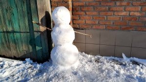 Делаем с детьми снеговика. Впервые вместо носа поставили морковку. Классика!