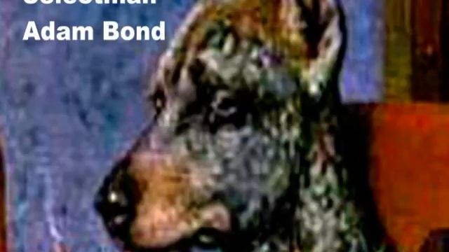Dogs Playing Liar's Poker смотреть онлайн
