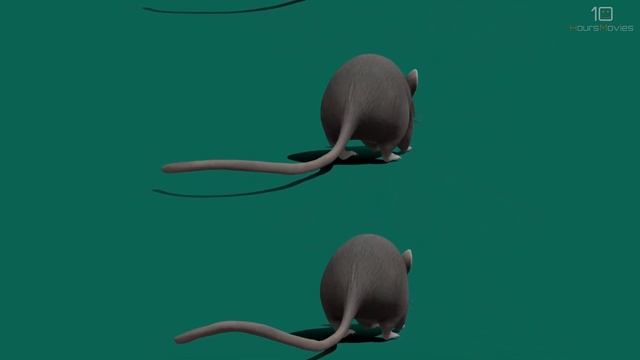 Crazy? I was crazy once 10 Hours смотреть онлайн