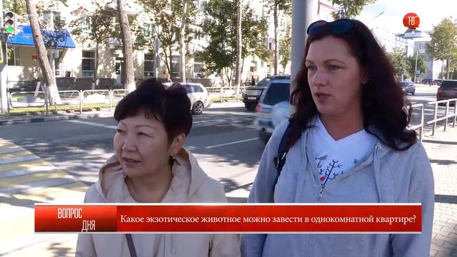15.09.2017 Блиц: "Какое экзотическое животное можно завести в однокомнатной квартире?" смотреть онлайн