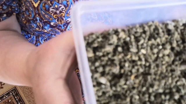 Обзор лесных чаёв. Чаепитие с подружками. смотреть онлайн