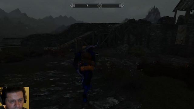 Skyrim Special Edition Live Stream смотреть онлайн