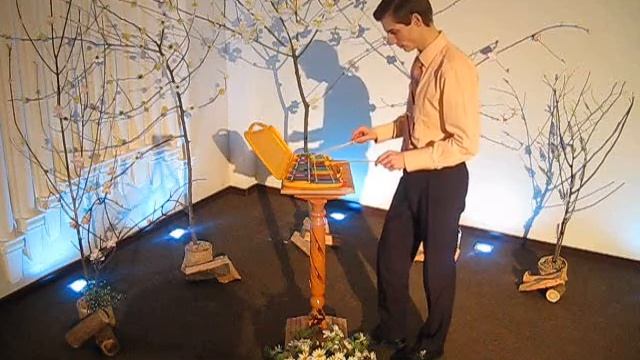 Металлофон (Зеленые рукава или Что за Дитя/Greensleeves Or What Child Is This) Куприенко Владимир