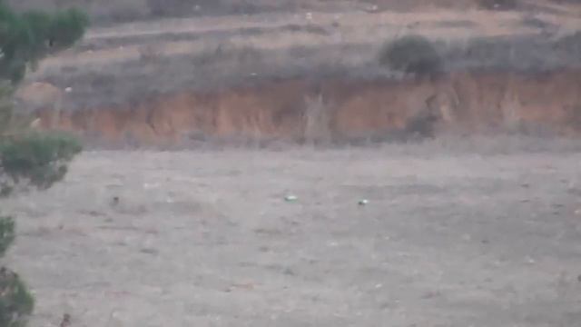Big max x, 50 gr hollow, 520 mt. смотреть онлайн