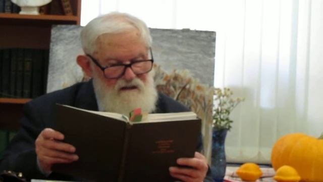 Новалис в переводах Микушевича, часть III смотреть онлайн