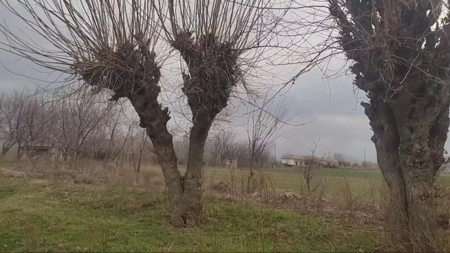 ШОШИЛИНЧ! БАРЧА ТАЙОР ТУРСИН 17-МАРТ ОБ-ХАВО КЕСКИН ИСИЯДИ Ураааа смотреть онлайн