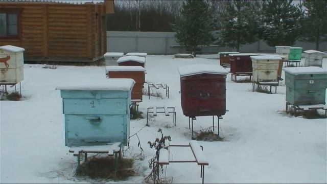 "Долина аистов", пасека смотреть онлайн