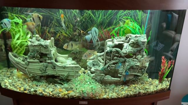 MY FRIENDS POND****HIS TORTOISES LIVES UNDER HIS POND ****DIY KOI смотреть онлайн