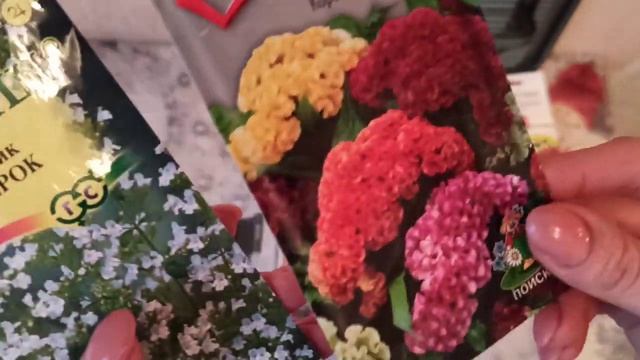 Что буду сеять в этом году смотреть онлайн