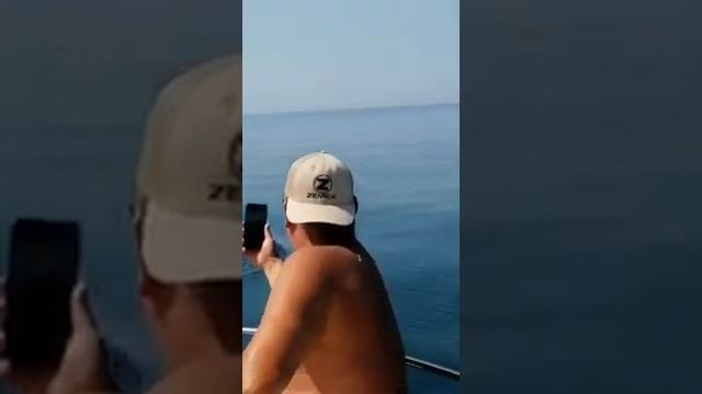 Морские экскурсии в Феодосии смотреть онлайн