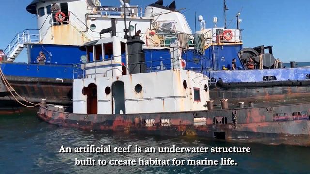 DEP Marine Fisheries Administration – Artificial Reef Program смотреть онлайн