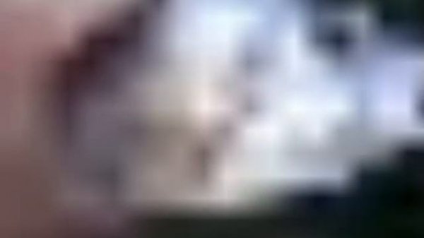 killer fish from sandiego