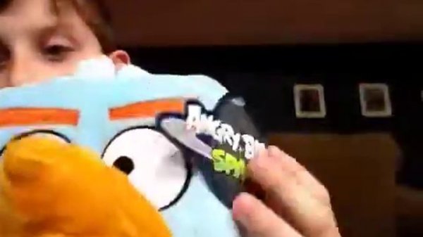 Angry Birds Space Ice Bird Plush Review