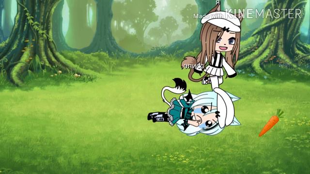 Прикол Жихарка