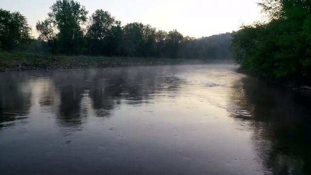 Видео без авторских прав/ 4к/Лес/ Река/ Видео с дрона