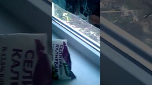 Как сделать самодельное ракетное топливо