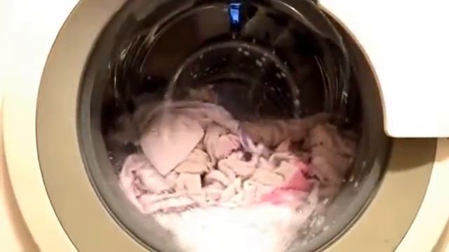 Bosch Logixx 8 Cotton 60 With Prewash