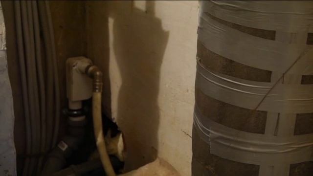 Канализация для стиральных и посудомоечных машин смотреть онлайн