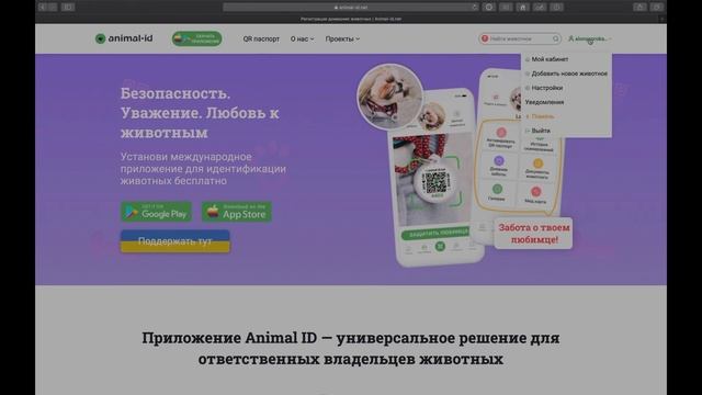Как внести чип хорька в базу чипированных питомцев смотреть онлайн