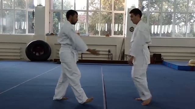 Хапкидо урок6 смотреть онлайн