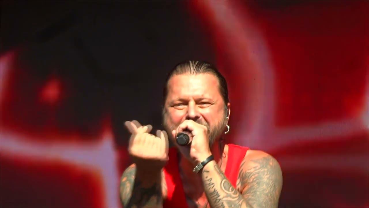 Пилот - Королевство