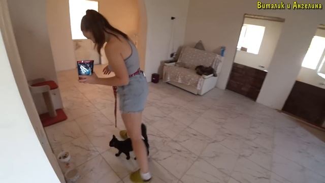 КУПИЛ ПИЛОМАТЕРИАЛ / РАСШИРИЛ ДОМ / УТЕПЛИЛ ПОТОЛОК / ЗАЩИТА ПОТОЛКА ОТ МЫШЕЙ / РЕМОНТ СТАРОГО ДОМА смотреть онлайн