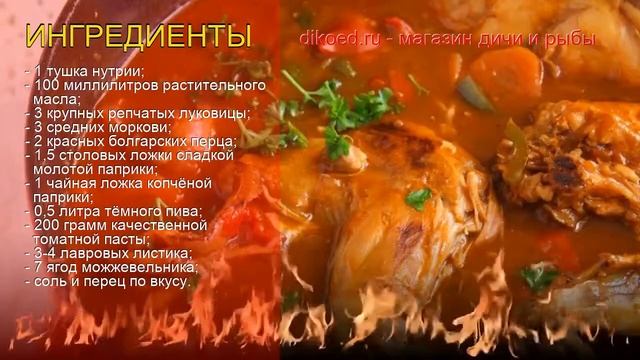 Животные в Зоопарках