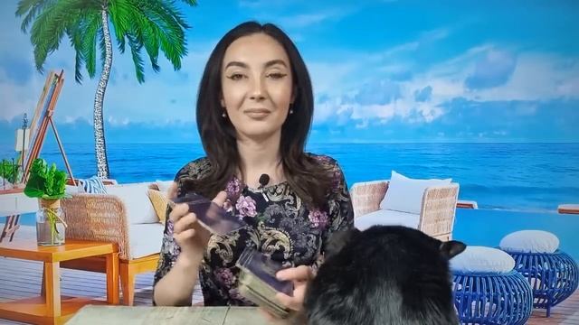 ????????? ♑️ ?? ???̂??̦?? ??????, ?? ?????????! ?? ??? - ? ????? ???? смотреть онлайн