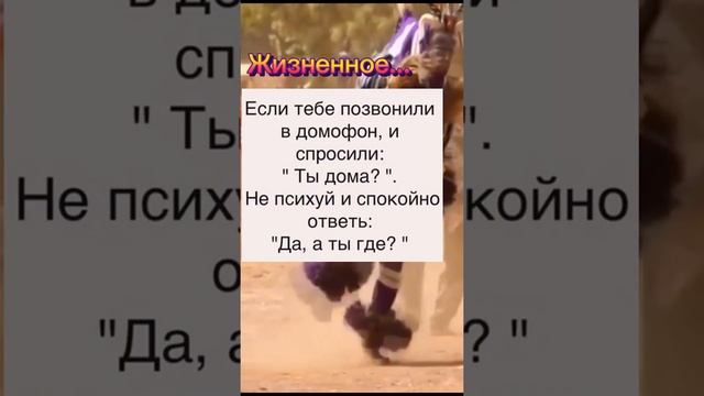 Прикол ответ в домофон. Что ответить в домофон. Анекдот дня. Анекдот Май. Майский. смотреть онлайн