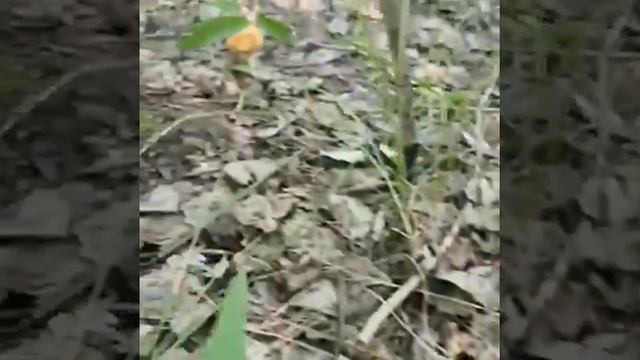 Уборка без лишних забот и напряжения