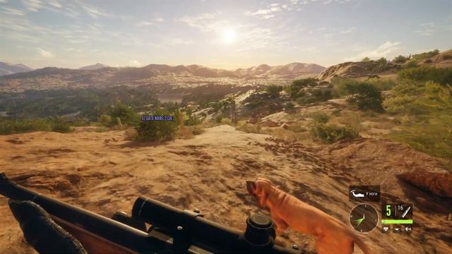 ОХОТА С ДРУЖКОМ - THE HUNTER CALL OF THE WILD BLOODHOUND - ИГРАЕМ КООП смотреть онлайн