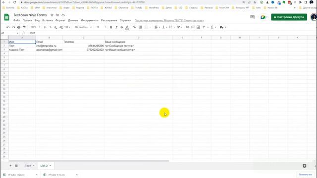 Обзор плагина Ninja Forms смотреть онлайн