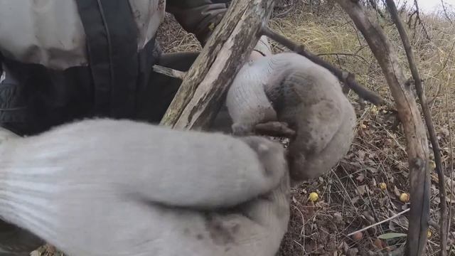 ЕДЕМ В АНОМАЛИЮ С МЕТАЛЛОИСКАТЕЛЕМ смотреть онлайн