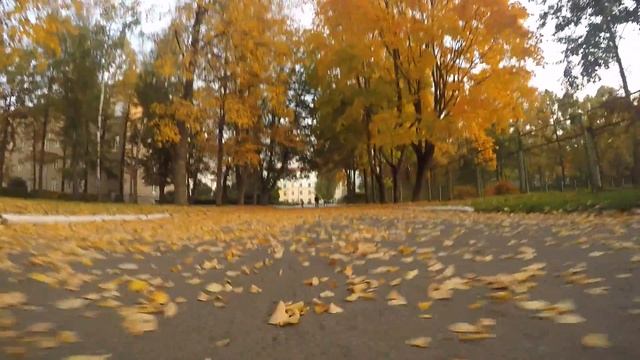 Листья падают с дуба-ясеня смотреть онлайн