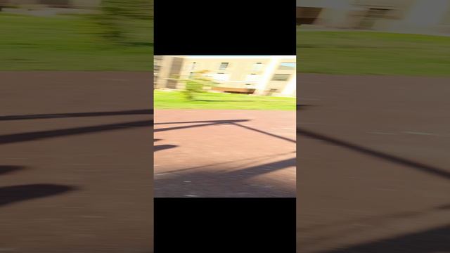жизнь двора смотреть онлайн