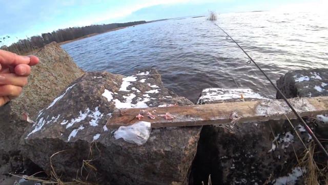 Чёрная речка. Рыбалка 19.11.23. смотреть онлайн