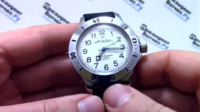 Часы Восток Амфибия 120813 - Видео обзор от PresidentWatches.Ru смотреть онлайн