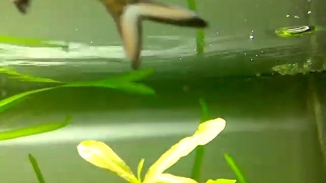 Co2 overdose смотреть онлайн