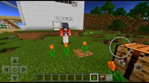 ДЕВУШКА СОСЁТ "ЧУПА-ЧУПС" за БЛОК ЗЕМЛИ !!! (не Анти-Грифер Шоу Майнкрафт на телефоне)