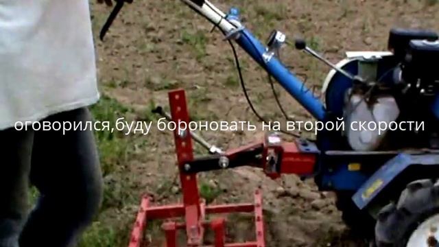 посадка сидератов после уборки картофеля смотреть онлайн