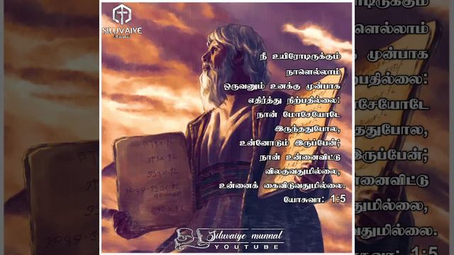 New Whatsapp Status Tamil Christian Song | வைகறை பனித்துளி | Dawn Dew | 14.08.2020 смотреть онлайн