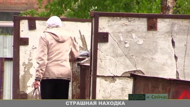 Нашли эмбрион в мусорном баке смотреть онлайн