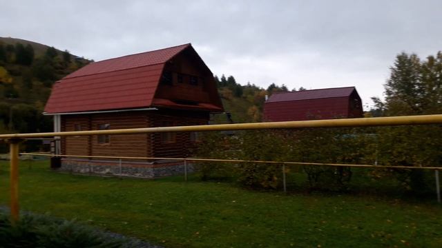 Вот такие милахи живут в санатории КЛЮЧИ.