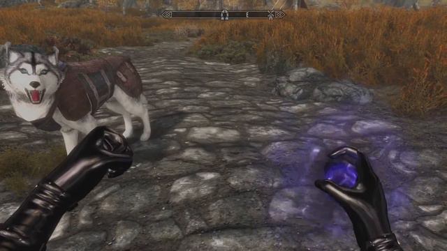 Skyrim Special Edition Xbox One: Part 87 – Huskies and Co Mounts and Followers смотреть онлайн