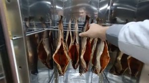 ?Недостатки коптильни москит, реальный отзыв