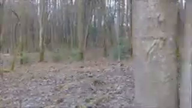 Шуваловский парк 25042021 смотреть онлайн