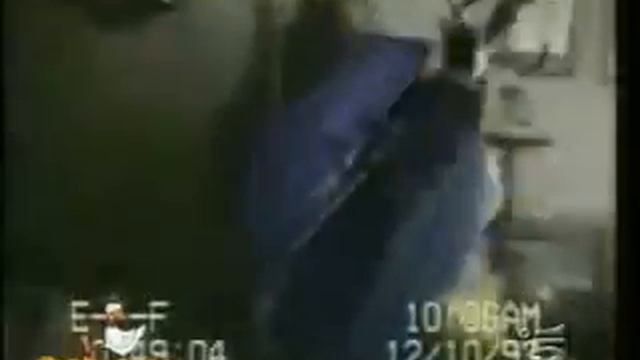 Ода мартовским котам. смотреть онлайн