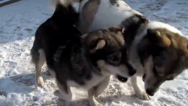 Зимний день смотреть онлайн