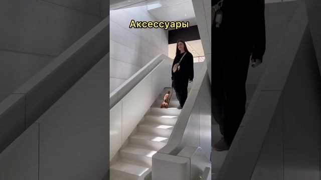 Сколько стоит прокормить собаку в США? #жизньвамерике #жизньвсша смотреть онлайн