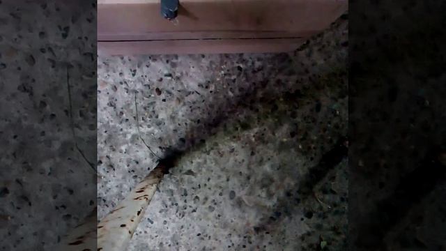 Народ клей горит не верете посмотри смотреть онлайн